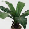 Artificial Plant 45*45*65cm Leaf in ceramic pot/9 lvs GS-52723005 2024Feb YeahFlower is one of Chinese leading OEM manufacturers and exporters , supplying the silk flowers, wholesale artificial trees