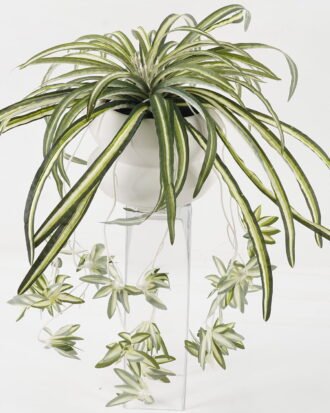 Artificial Plant 40*40*46cm Leaf in ceramic pot GS-52723015 2024Feb YeahFlower is one of Chinese leading OEM manufacturers and exporters , supplying the silk flowers, wholesale artificial trees