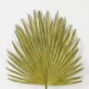 Artificial Plant 32*78cm Leaf single stem GS-43223002-G1 2024Jan YeahFlower is one of Chinese leading OEM manufacturers and exporters , supplying the silk flowers, wholesale artificial trees