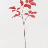 Artificial Plant 30*30*81cm Leaf single stem GS-53623063-R1 2024Feb YeahFlower is one of Chinese leading OEM manufacturers and exporters , supplying the silk flowers, wholesale artificial trees