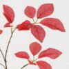 Artificial Plant 30*30*81cm Leaf single stem GS-53623063-R1 2024Feb YeahFlower is one of Chinese leading OEM manufacturers and exporters , supplying the silk flowers, wholesale artificial trees