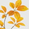 Artificial Plant 30*30*81cm Leaf single stem GS-53623063-Y1 2024Feb YeahFlower is one of Chinese leading OEM manufacturers and exporters , supplying the silk flowers, wholesale artificial trees