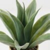 Artificial Plant 36*36*33cm Maguey in ceramic pot/12 lvs GS-52723014 2024Feb YeahFlower is one of Chinese leading OEM manufacturers and exporters , supplying the silk flowers, wholesale artificial trees