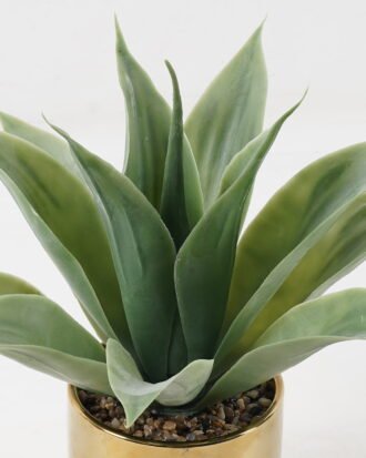 Artificial Plant 36*36*33cm Maguey in ceramic pot/12 lvs GS-52723014 2024Feb YeahFlower is one of Chinese leading OEM manufacturers and exporters , supplying the silk flowers, wholesale artificial trees