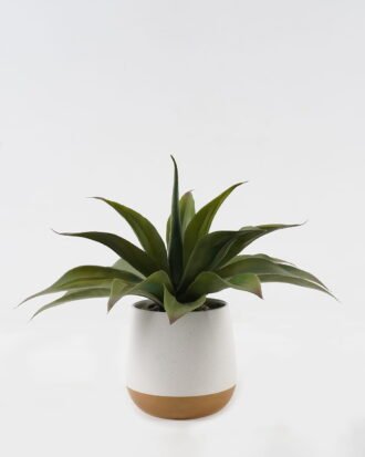 Artificial Plant 36*36*35cm Maguey in ceramic pot/17 lvs GS-52723018 2024Feb YeahFlower is one of Chinese leading OEM manufacturers and exporters , supplying the silk flowers, wholesale artificial trees