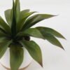 Artificial Plant 36*36*35cm Maguey in ceramic pot/17 lvs GS-52723018 2024Feb YeahFlower is one of Chinese leading OEM manufacturers and exporters , supplying the silk flowers, wholesale artificial trees