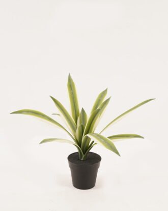 Artificial Plant 40*30*30 Maguey in pp pot GF-41919003R2-P0P6 2024Jan YeahFlower is one of Chinese leading OEM manufacturers and exporters , supplying the silk flowers, wholesale artificial trees