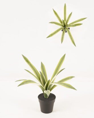 Artificial Plant 40*30*30 Maguey in pp pot GF-41919003R2-P0P6 2024Jan YeahFlower is one of Chinese leading OEM manufacturers and exporters , supplying the silk flowers, wholesale artificial trees