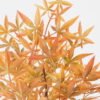 Artificial Plant 30*30*44cm Maple Leaf *5 bush GS-54023029 2024Feb YeahFlower is one of Chinese leading OEM manufacturers and exporters , supplying the silk flowers, wholesale artificial trees