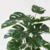 Artificial Plant 45*45*66cm Monstera*18 lvs in PP pot GS-03323153-G1 2024Jan YeahFlower is one of Chinese leading OEM manufacturers and exporters , supplying the silk flowers, wholesale artificial trees