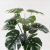Artificial Plant 60*60*78cm Monstera in PP pot/9 lvs GS-52723020 2024Feb YeahFlower is one of Chinese leading OEM manufacturers and exporters , supplying the silk flowers, wholesale artificial trees