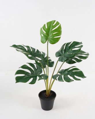 Artificial Plant 45*45*60cm Monstera in PP pot GS-03323155 2024Jan YeahFlower is one of Chinese leading OEM manufacturers and exporters , supplying the silk flowers, wholesale artificial trees