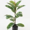 Artificial Plant Oak leaf in PP pot GS-69423035-G1_2 Artificial Plant 48*48*63cm Oak leaf in PP pot GS-69423035-G1 2024Jan YeahFlower is one of Chinese leading OEM manufacturers and exporters , supplying the silk flowers, wholesale artificial trees
