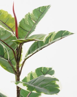 Artificial Plant 48*48*63cm Oak leaf in PP pot GS-69423035-G1 2024Jan YeahFlower is one of Chinese leading OEM manufacturers and exporters , supplying the silk flowers, wholesale artificial trees