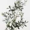 Artificial Plant 40*40*105cm Olive *3 single stem/fireproofing GS-59523172-FR Leaves&Sprays&Foliages 3,000+ sqm showroom with thousands of artificial flowers, plants & trees ready for global sourcing.