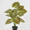 Artificial Plant 45*45*62cm  Philodendron*12 lvs in PP pot GS-03323152-G3 2024Jan YeahFlower is one of Chinese leading OEM manufacturers and exporters , supplying the silk flowers, wholesale artificial trees