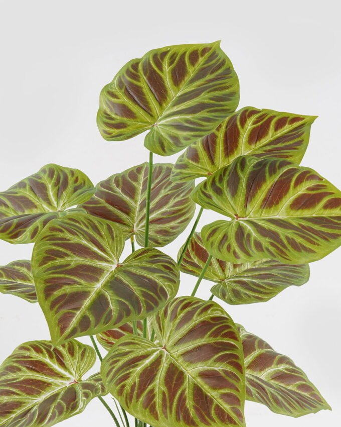 Artificial Plant 45*45*62cm  Philodendron*12 lvs in PP pot GS-03323152-G3 2024Jan YeahFlower is one of Chinese leading OEM manufacturers and exporters , supplying the silk flowers, wholesale artificial trees