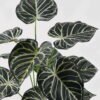 Artificial Plant 45*45*62cm  Philodendron*12 lvs in PP pot GS-03323152 2024Feb YeahFlower is one of Chinese leading OEM manufacturers and exporters , supplying the silk flowers, wholesale artificial trees