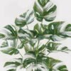 Artificial Plant Philodendron 12 lvs in PP pot GS-03323154-G2_6 Artificial Plant 45*45*62cm  Philodendron*12 lvs in PP pot GS-03323154-G2 2024Jan YeahFlower is one of Chinese leading OEM manufacturers and exporters , supplying the silk flowers, wholesale artificial trees