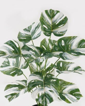 Artificial Plant 45*45*62cm  Philodendron*12 lvs in PP pot GS-03323154-G2 2024Jan YeahFlower is one of Chinese leading OEM manufacturers and exporters , supplying the silk flowers, wholesale artificial trees