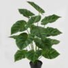 Artificial Plant 45*45*66cm Philodendron*18 lvs in PP pot GS-03323151 2024Feb YeahFlower is one of Chinese leading OEM manufacturers and exporters , supplying the silk flowers, wholesale artificial trees