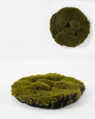 Artificial Plant 20*20cm grass mat GS-34023026 2024Jan YeahFlower is one of Chinese leading OEM manufacturers and exporters , supplying the silk flowers, wholesale artificial trees Artificial Plant 20*20cm grass mat GS-34023026 2024Jan YeahFlower is one of Chinese leading OEM manufacturers and exporters , supplying the silk flowers, wholesale artificial trees