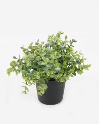 Artificial Plant 16*16*17cm potted leaf in PP pot GS-51723039 2024Feb YeahFlower is one of Chinese leading OEM manufacturers and exporters , supplying the silk flowers, wholesale artificial trees