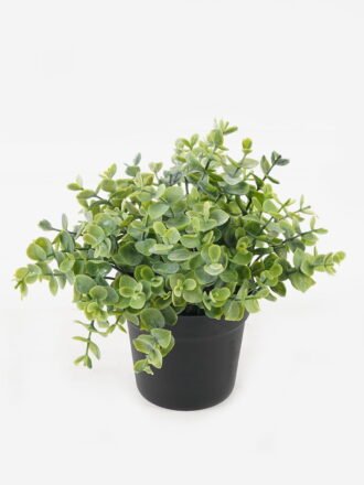 Artificial Flower 10*10*10cm Plastic grass *3 in PP pot GS-29423132KIK-Z1 Potted Flowers&Plants 3,000+ sqm showroom with thousands of artificial flowers, plants & trees ready for global sourcing.