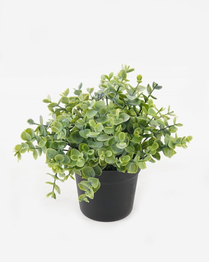Artificial Plant 16*16*17cm potted leaf in PP pot GS-51723039 2024Feb YeahFlower is one of Chinese leading OEM manufacturers and exporters , supplying the silk flowers, wholesale artificial trees