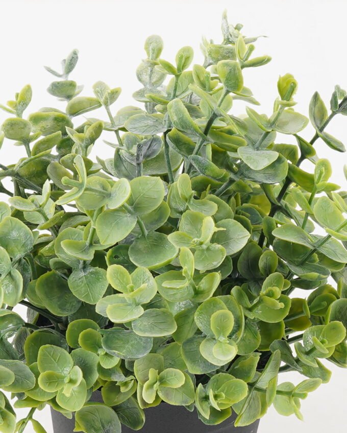 Artificial Plant 16*16*17cm potted leaf in PP pot GS-51723039 2024Feb YeahFlower is one of Chinese leading OEM manufacturers and exporters , supplying the silk flowers, wholesale artificial trees