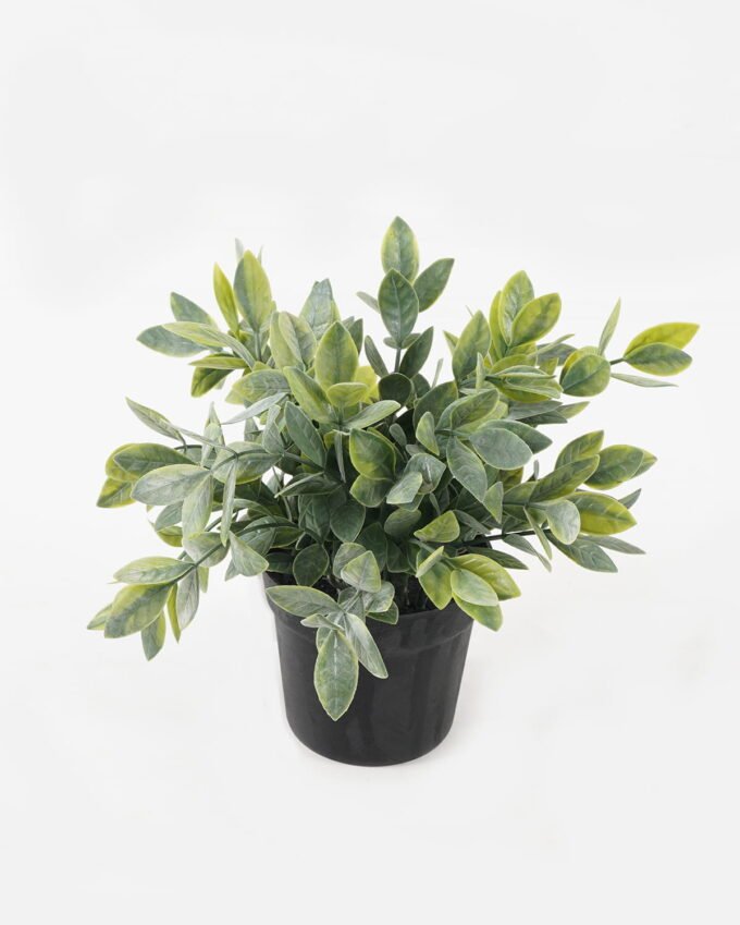 Artificial Plant 16*16*19cm potted leaf in PP pot GS-51723040 2024Feb YeahFlower is one of Chinese leading OEM manufacturers and exporters , supplying the silk flowers, wholesale artificial trees