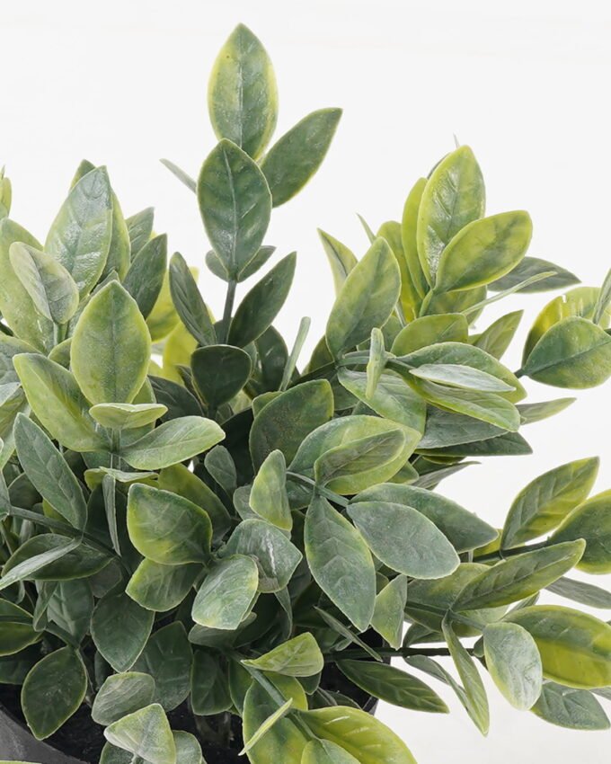 Artificial Plant 16*16*19cm potted leaf in PP pot GS-51723040 2024Feb YeahFlower is one of Chinese leading OEM manufacturers and exporters , supplying the silk flowers, wholesale artificial trees