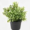 Artificial Plant 10*10*19cm potted leaf in PP pot GS-51723041 2024Feb YeahFlower is one of Chinese leading OEM manufacturers and exporters , supplying the silk flowers, wholesale artificial trees