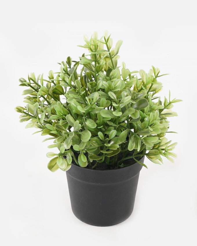 Artificial Plant 10*10*19cm potted leaf in PP pot GS-51723041 2024Feb YeahFlower is one of Chinese leading OEM manufacturers and exporters , supplying the silk flowers, wholesale artificial trees