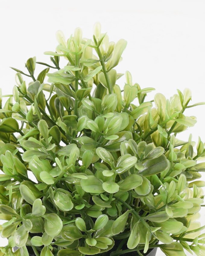 Artificial Plant 10*10*19cm potted leaf in PP pot GS-51723041 2024Feb YeahFlower is one of Chinese leading OEM manufacturers and exporters , supplying the silk flowers, wholesale artificial trees