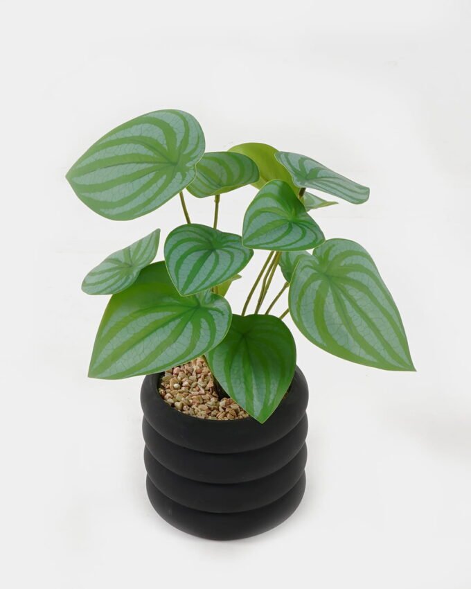 Artificial Plant 18*18*28cm potted leaf in cemnet pot GS-51723060 2024Feb YeahFlower is one of Chinese leading OEM manufacturers and exporters , supplying the silk flowers, wholesale artificial trees