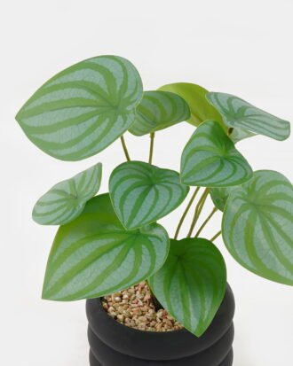 Artificial Plant 18*18*28cm potted leaf in cemnet pot GS-51723060 2024Feb YeahFlower is one of Chinese leading OEM manufacturers and exporters , supplying the silk flowers, wholesale artificial trees