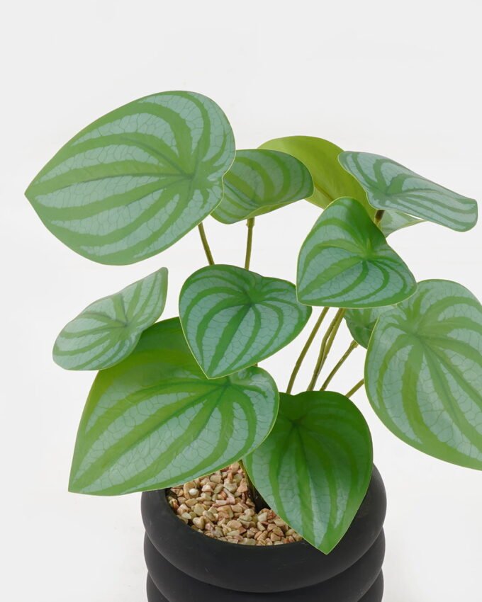Artificial Plant 18*18*28cm potted leaf in cemnet pot GS-51723060 2024Feb YeahFlower is one of Chinese leading OEM manufacturers and exporters , supplying the silk flowers, wholesale artificial trees
