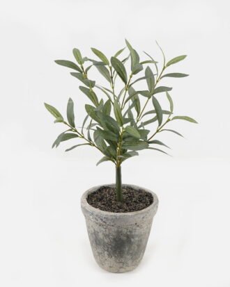 Artificial Plant 20*20*44cm potted leaf in cemnet pot GS-51723080 2024Feb YeahFlower is one of Chinese leading OEM manufacturers and exporters , supplying the silk flowers, wholesale artificial trees