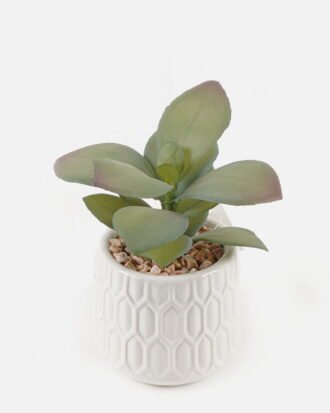 Artificial Plant 12*10*12cm potted leaf in ceramic pot GS-51723081 2024Feb YeahFlower is one of Chinese leading OEM manufacturers and exporters , supplying the silk flowers, wholesale artificial trees