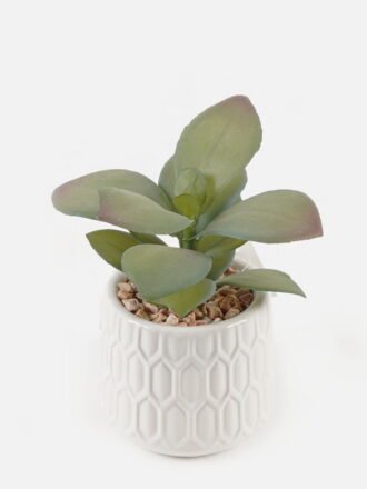 Artificial Plant 45*45*65cm Leaf in ceramic pot/9 lvs GS-52723005 Potted Flowers&Plants 3,000+ sqm showroom with thousands of artificial flowers, plants & trees ready for global sourcing.