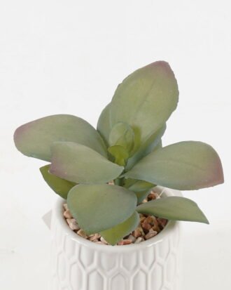 Artificial Plant 12*10*12cm potted leaf in ceramic pot GS-51723081 2024Feb YeahFlower is one of Chinese leading OEM manufacturers and exporters , supplying the silk flowers, wholesale artificial trees