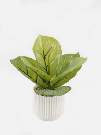 Artificial Flower 10*10*10cm Plastic grass *3 in PP pot GS-29423132KIK 2024Jan YeahFlower is one of Chinese leading OEM manufacturers and exporters , supplying the silk flowers, wholesale artificial trees