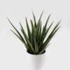 Artificial Tree 35*35*43cm Aloe in PP pot/29 lvs GS-59523160 2024Feb YeahFlower is one of Chinese leading OEM manufacturers and exporters , supplying the silk flowers, wholesale artificial trees