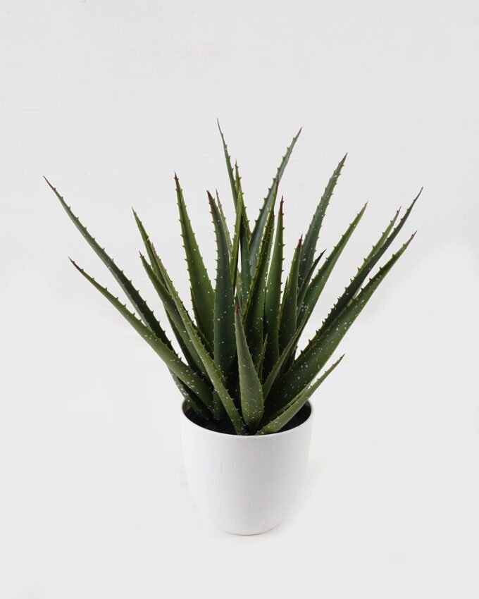 Artificial Tree 35*35*43cm Aloe in PP pot/29 lvs GS-59523160 2024Feb YeahFlower is one of Chinese leading OEM manufacturers and exporters , supplying the silk flowers, wholesale artificial trees
