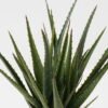 Artificial Tree 35*35*43cm Aloe in PP pot/29 lvs GS-59523160 2024Feb YeahFlower is one of Chinese leading OEM manufacturers and exporters , supplying the silk flowers, wholesale artificial trees