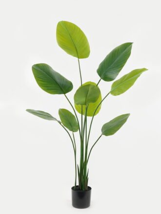 Artificial Tree 78*78*180cm Cordyline fruticosa *5 in PP pot GS-67723015CONTI Tree&Plant 3,000+ sqm showroom with thousands of artificial flowers, plants & trees ready for global sourcing.