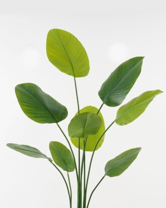 Artificial Tree 80*80*160cm Arrowroot tree *4 in PP pot GS-67723014CONTI 2024Jan YeahFlower is one of Chinese leading OEM manufacturers and exporters , supplying the silk flowers, wholesale artificial trees