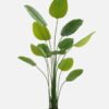 Artificial Tree 90*90*200cm Arrowroot tree *5 in PP pot GS-67723013CONTI Tree&Plant 3,000+ sqm showroom with thousands of artificial flowers, plants & trees ready for global sourcing.