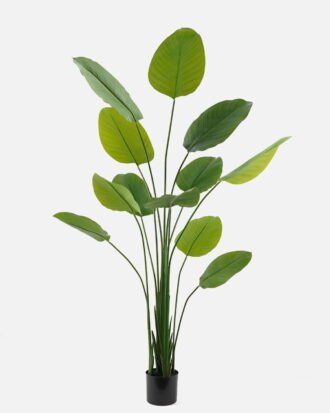 Artificial Tree 90*90*200cm Arrowroot tree *5 in PP pot GS-67723013CONTI 2024Jan YeahFlower is one of Chinese leading OEM manufacturers and exporters , supplying the silk flowers, wholesale artificial trees